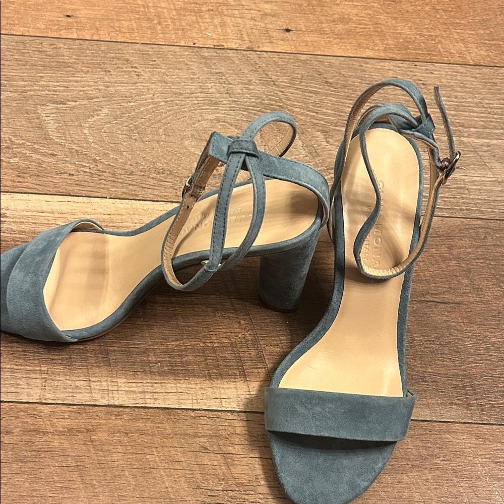 Club Monaco Blue Suede Heels